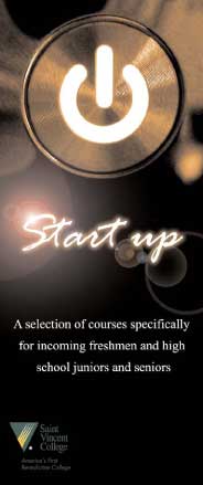 Start up flyer